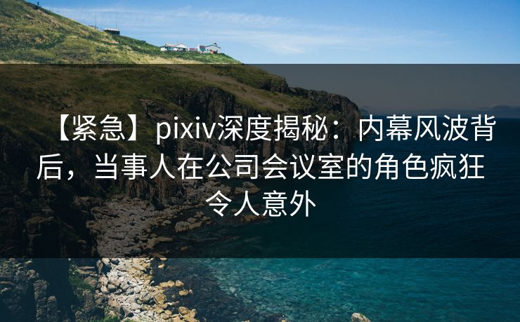 【紧急】pixiv深度揭秘：内幕风波背后，当事人在公司会议室的角色疯狂令人意外