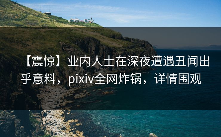 【震惊】业内人士在深夜遭遇丑闻出乎意料，pixiv全网炸锅，详情围观