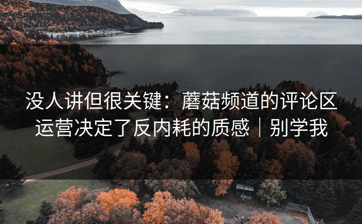 没人讲但很关键:蘑菇频道的评论区运营决定了反内耗的质感|别学我